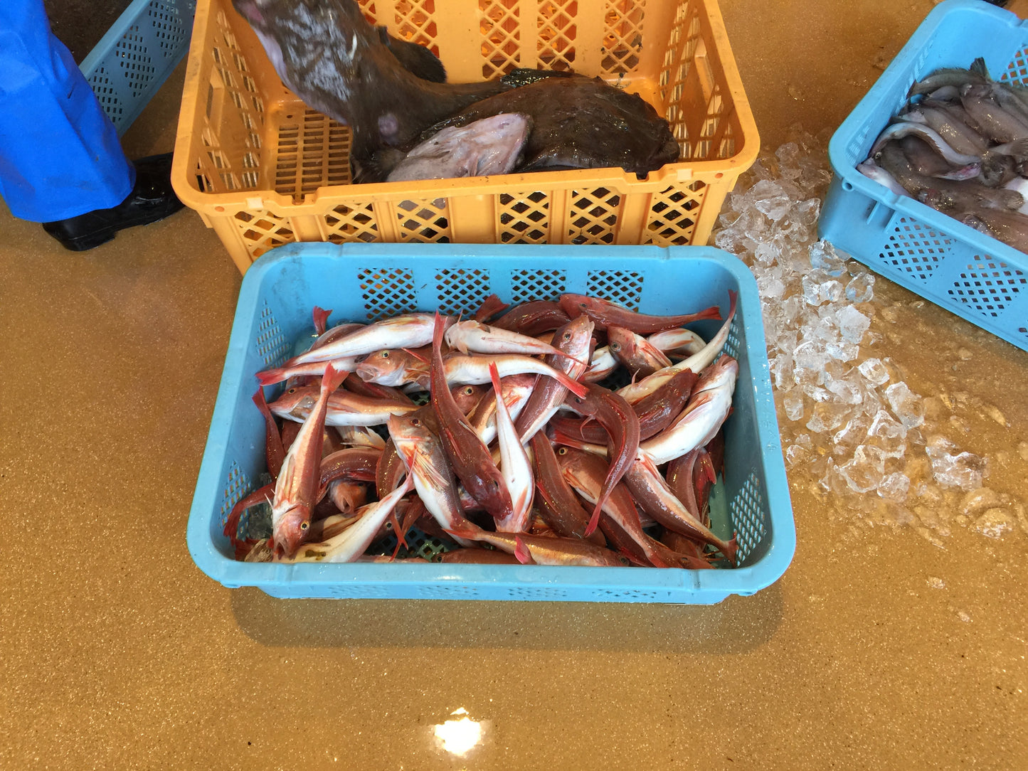 さんまラーメン