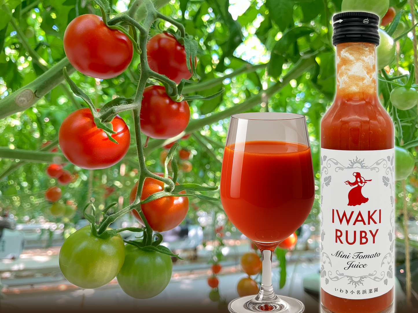 
                  
                    【29】IWAKI RUBYミニトマトジュースとトマトセット【いわきの夏ギフト2026】
                  
                