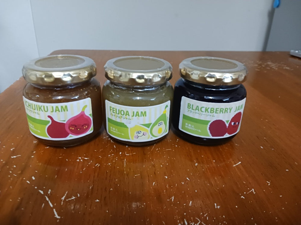 【37】フルーツジャム３点セット【いわきの冬ギフト2025】